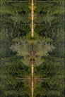 Mirrorpond