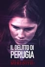 Il delitto di Perugia – Chi ha ucciso Meredith?