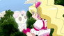 Chiffon`s Hidden Secret!