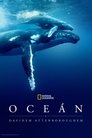 Oceán s Davidem Attenboroughem