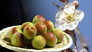 Ume