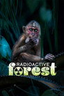 Plakat for 'Radioactive Forest'