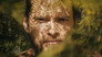 Out of the Woods
