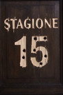 Season 15
