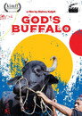 God's Buffalo