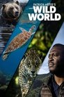 Patrick Aryee's Wild World Episode Rating Graph poster