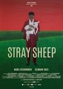 Stray Sheep (2018)