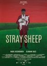 Stray Sheep (2018)