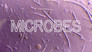 How Microbes Rule Your World