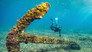 Australia's Oldest Shipwreck