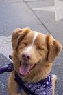 Indy isIndy