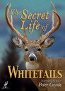 Plakat for 'The Secret Life of Whitetails'
