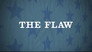 2011 - The Flaw thumb