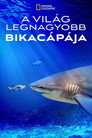 (HD). A Világ Legnagyobb Bikacápája Teljes Film Magyarul (2021) Ingyen Online