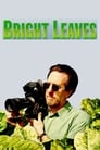 Poster for Bright Leaves