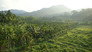 Why is India demolishing a paradise island?