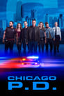 Chicago Police Department Saison 4 episode 9