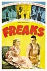 4-Freaks