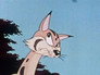 The Wild Wildcat
