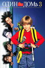 Постер: Один дома 3