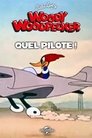 Quel Pilote !