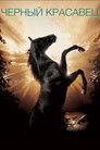 Постер: Black Beauty