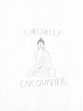 Unlikely Encounter