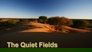The Quiet Fields