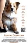 7-Darling Companion