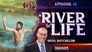 River of Life