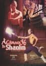 A Câmara 36 de Shaolin