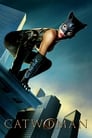 Movie poster for Catwoman