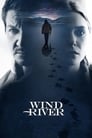 Movie poster for Wind River