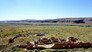 Chaco Canyon