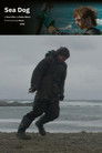 Sea Dog