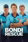 Bondi Rescue Episode Rating Graph poster