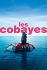 Les Cobayes