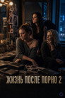 Постер: Жизнь после карьеры в порно 2