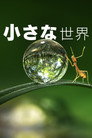 小さな世界