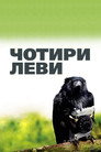 Чотири леви