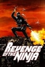 Poster for Revenge of the Ninja