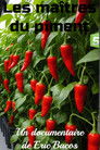 Les maîtres du piment