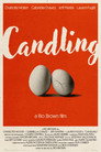 Candling