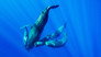 Whale vs Squid