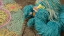 Image Sesame Street