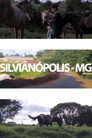 Silvianópolis