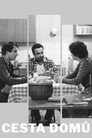 Cesta domů
