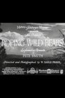 Roping Wild Bears