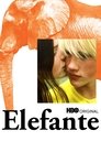 Image Elefante