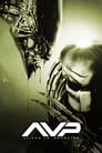Movie poster for AVP: Alien vs. Predator